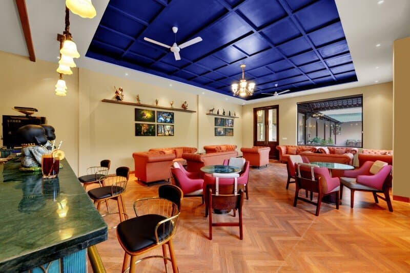 1748682698_2_Safari Lounge - Soft BAR