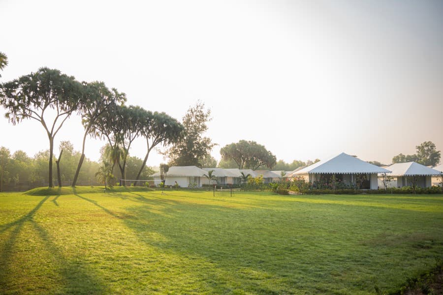 1752906623_9_Lawn-1